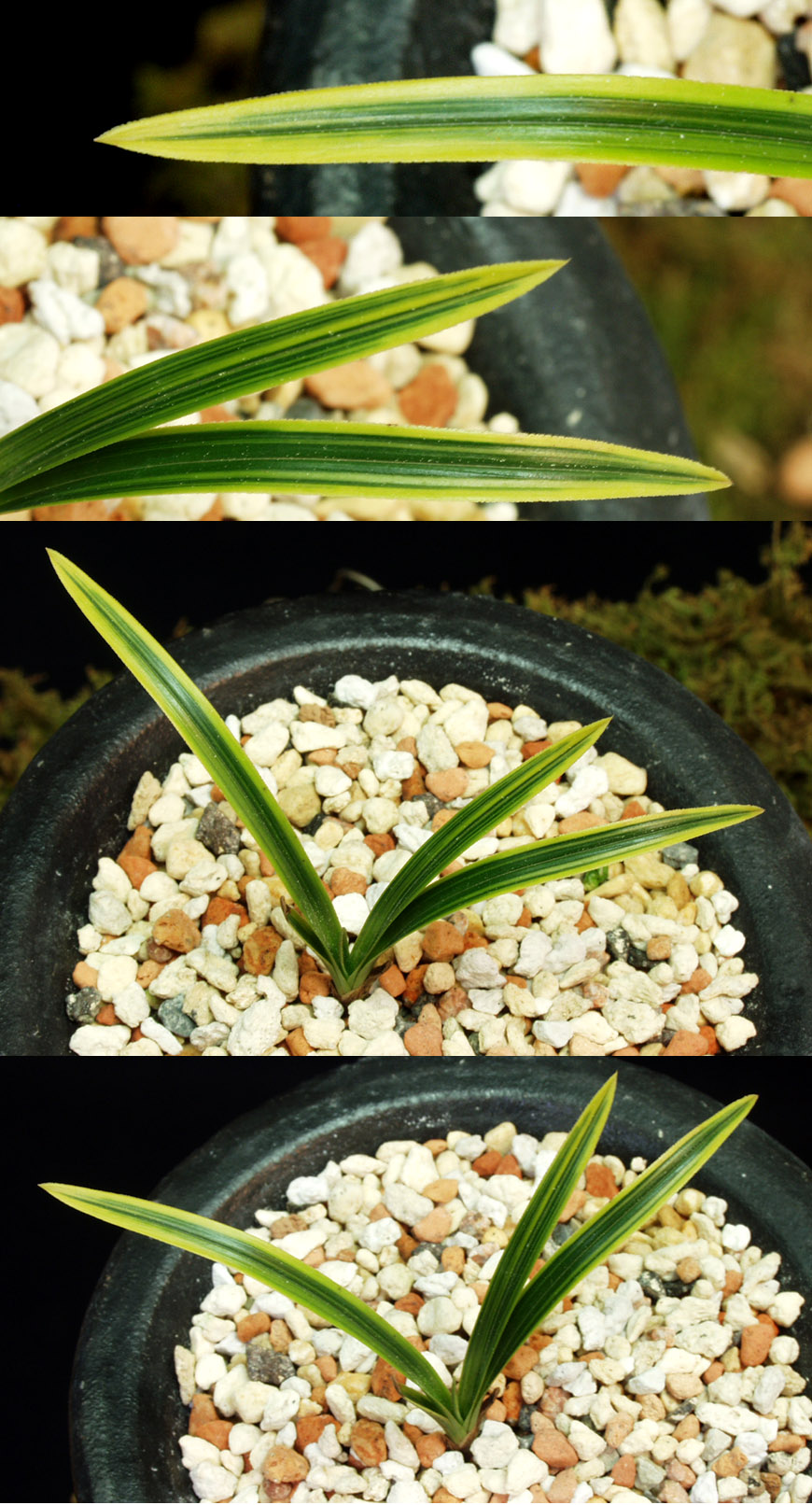 ������ ū������ �� �� �ֽ��ϴ�.