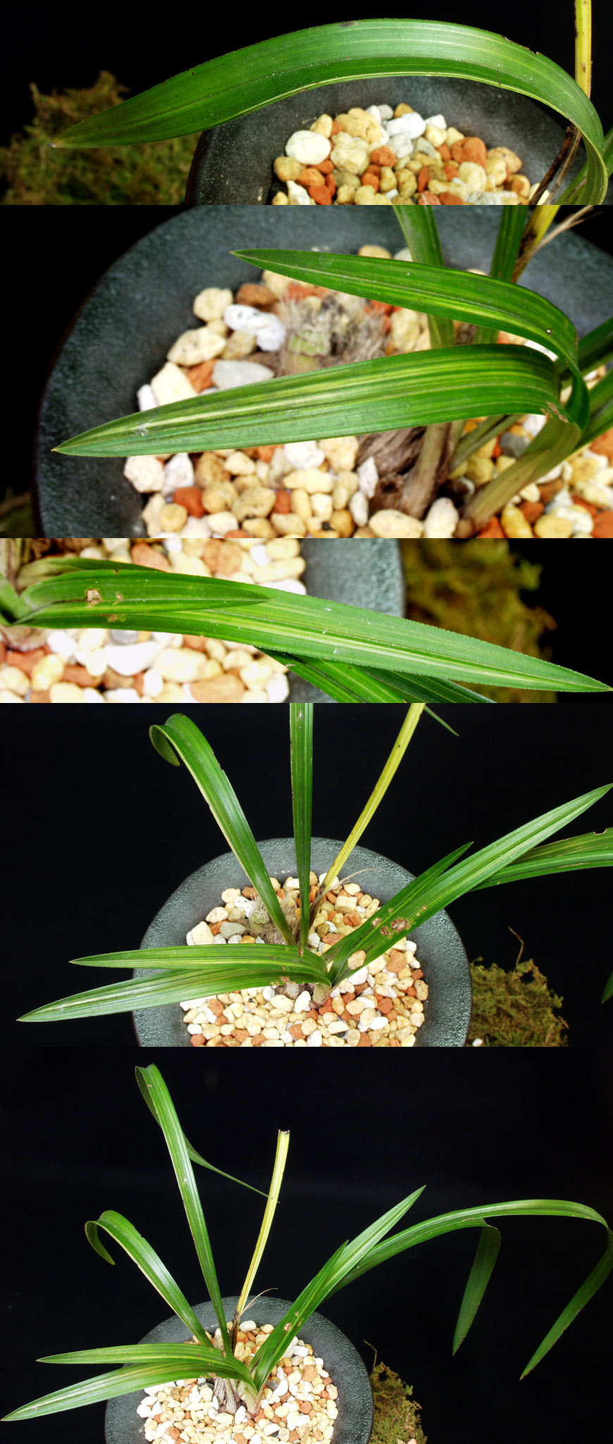 ������ ū������ �� �� �ֽ��ϴ�.