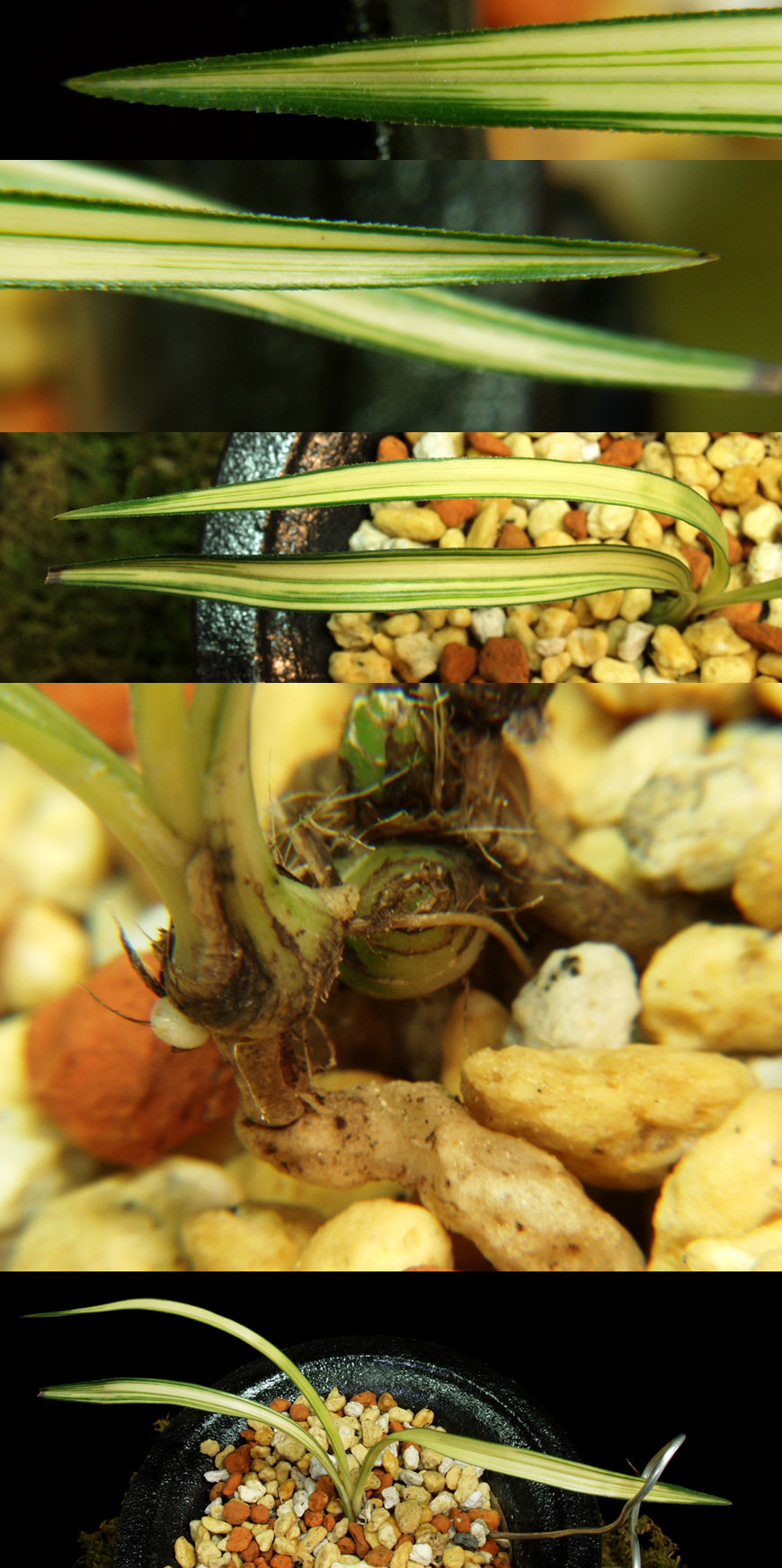 ������ ū������ �� �� �ֽ��ϴ�.