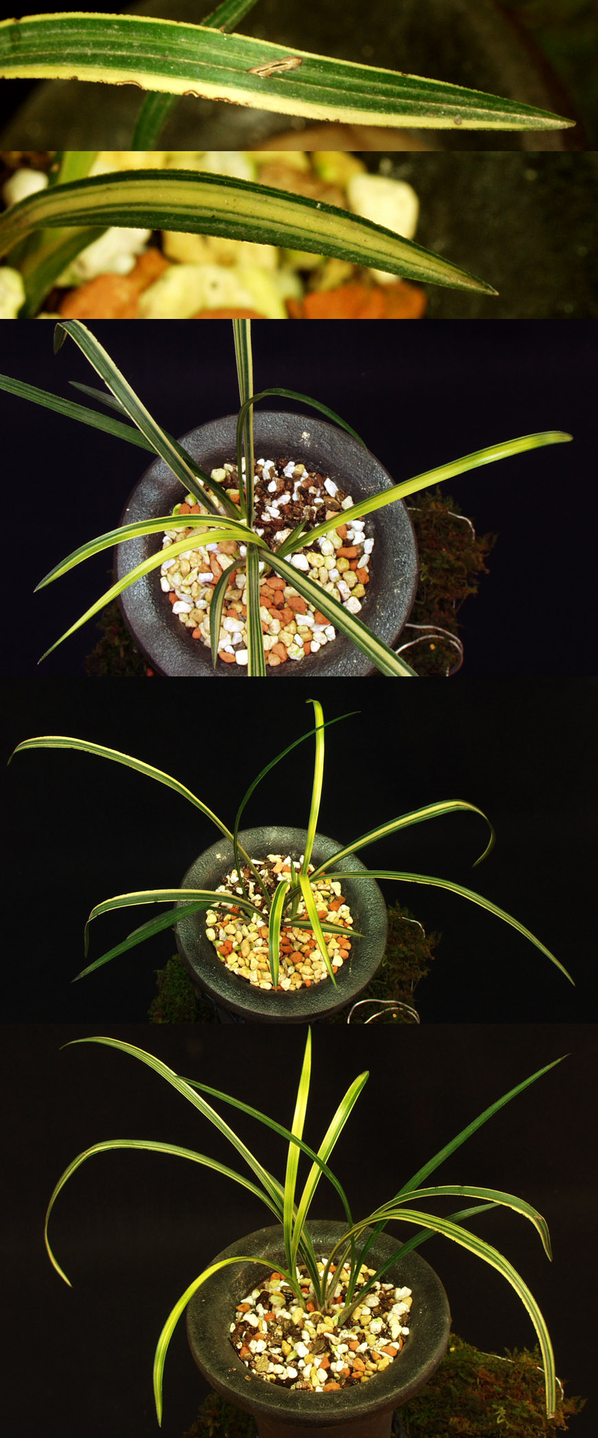 ������ ū������ �� �� �ֽ��ϴ�.