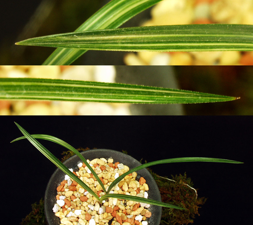 ������ ū������ �� �� �ֽ��ϴ�.