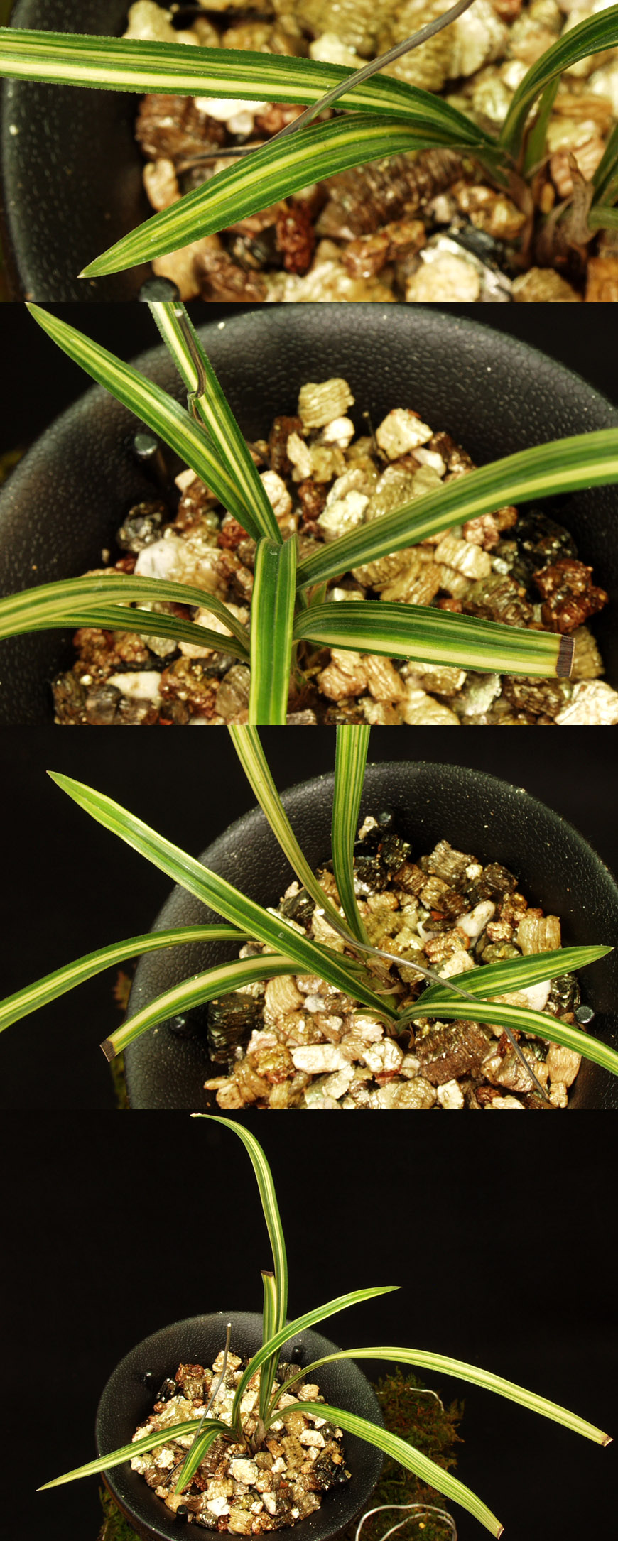 ������ ū������ �� �� �ֽ��ϴ�.