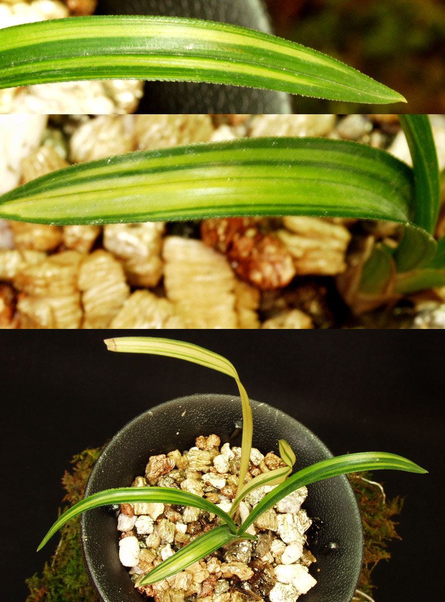 ������ ū������ �� �� �ֽ��ϴ�.