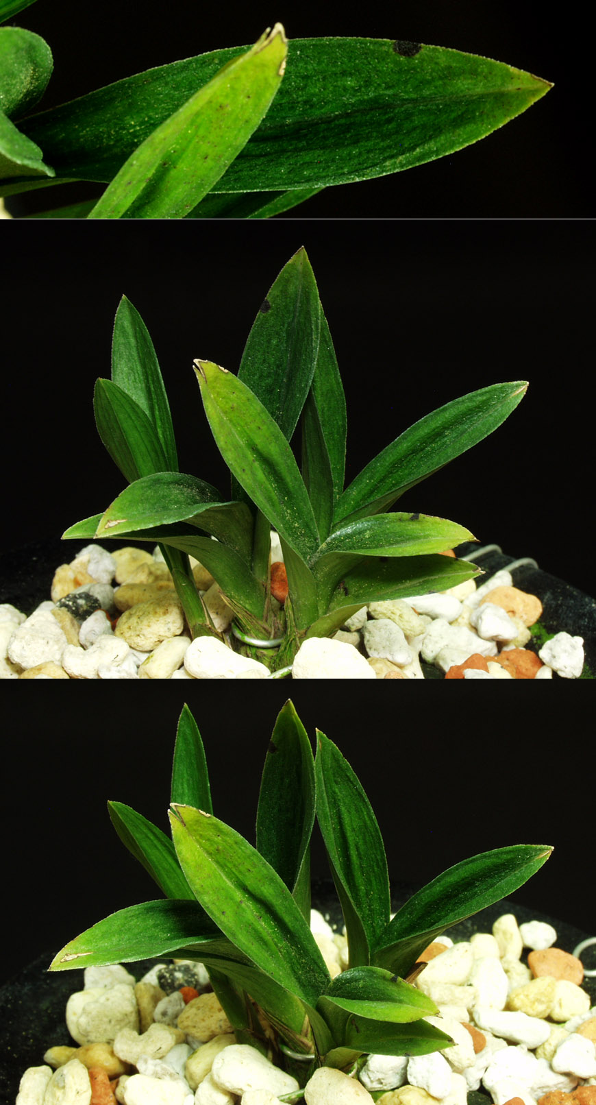 ������ ū������ �� �� �ֽ��ϴ�.