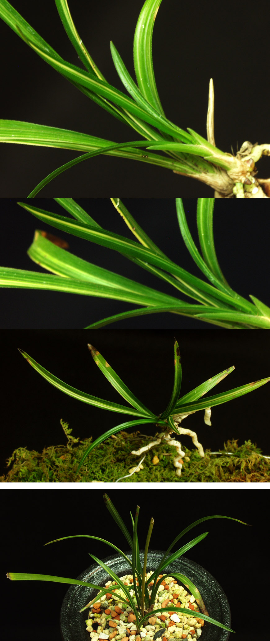 ������ ū������ �� �� �ֽ��ϴ�.