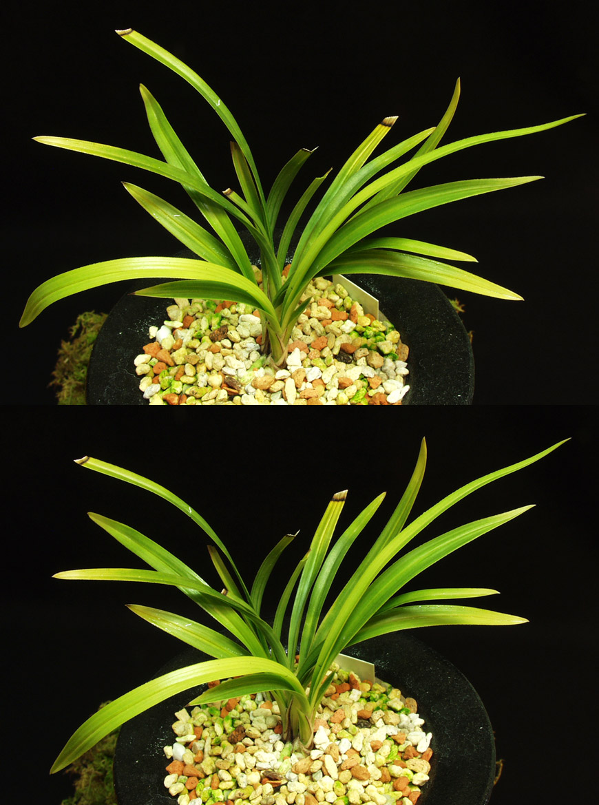 ������ ū������ �� �� �ֽ��ϴ�.