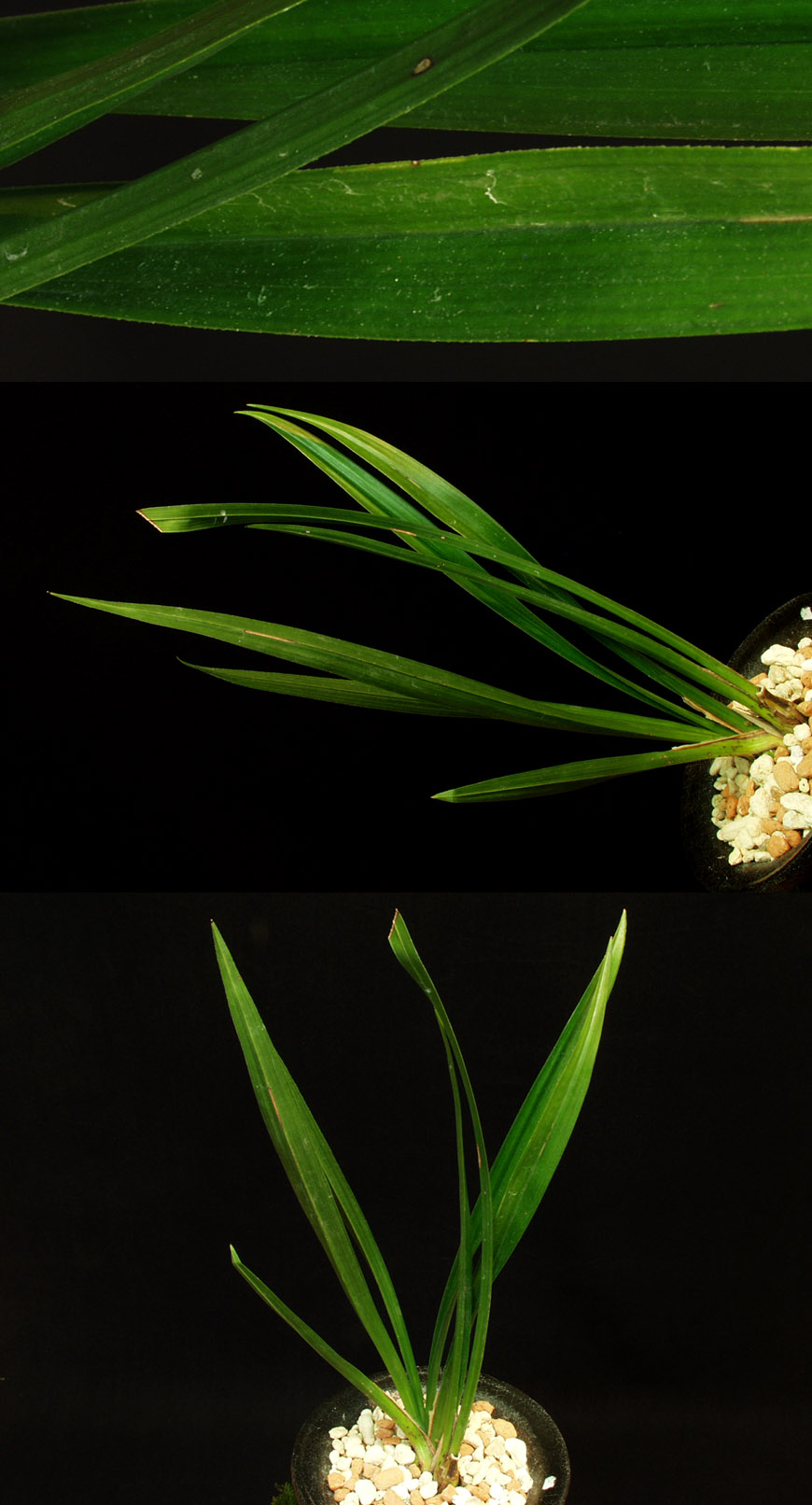 ������ ū������ �� �� �ֽ��ϴ�.