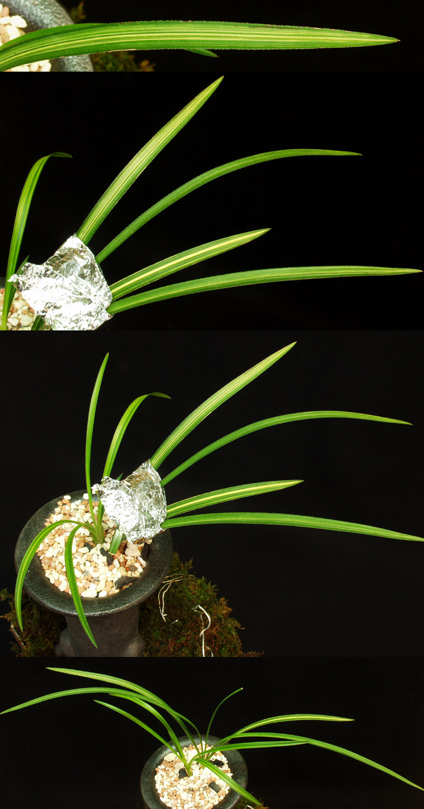 ������ ū������ �� �� �ֽ��ϴ�.