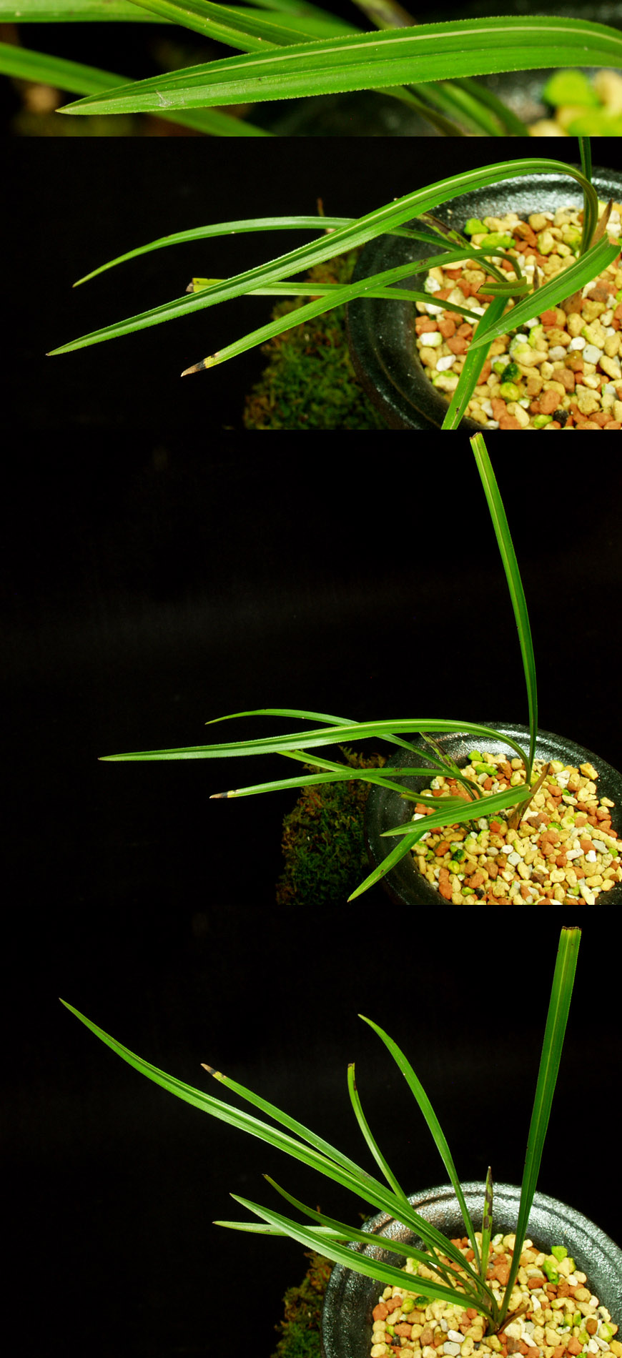 ������ ū������ �� �� �ֽ��ϴ�.