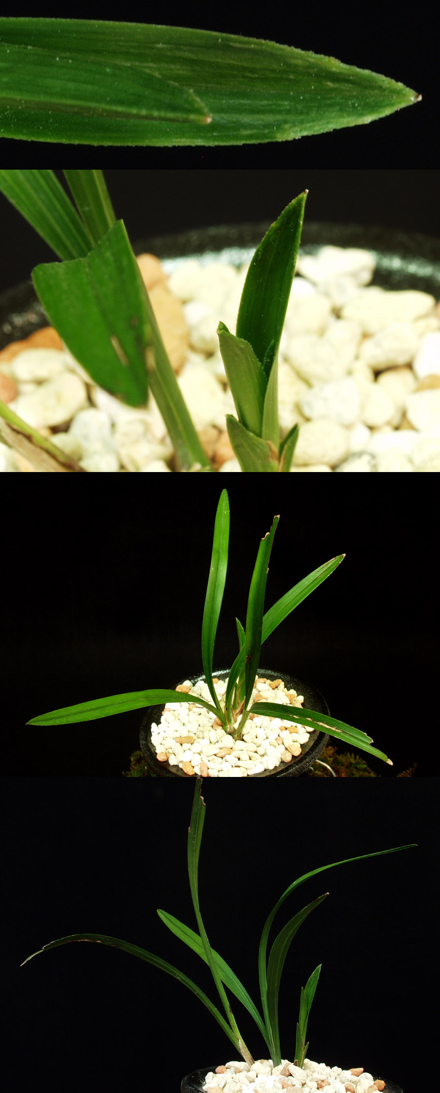 ������ ū������ �� �� �ֽ��ϴ�.