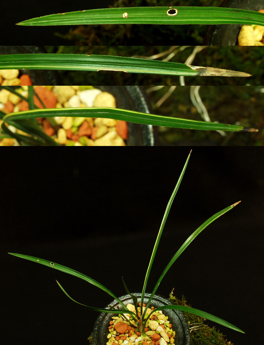 ������ ū������ �� �� �ֽ��ϴ�.