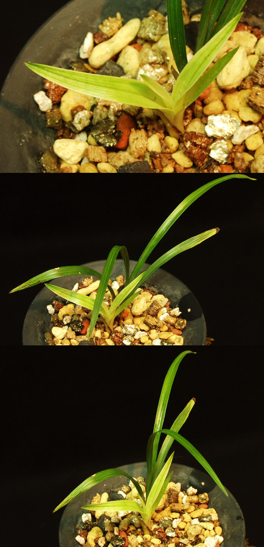 ������ ū������ �� �� �ֽ��ϴ�.