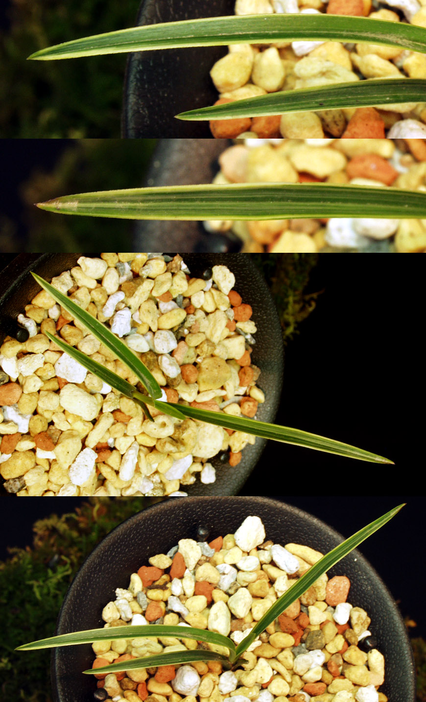 ������ ū������ �� �� �ֽ��ϴ�.