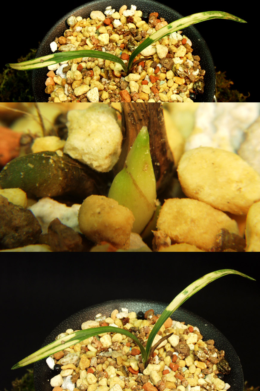 ������ ū������ �� �� �ֽ��ϴ�.