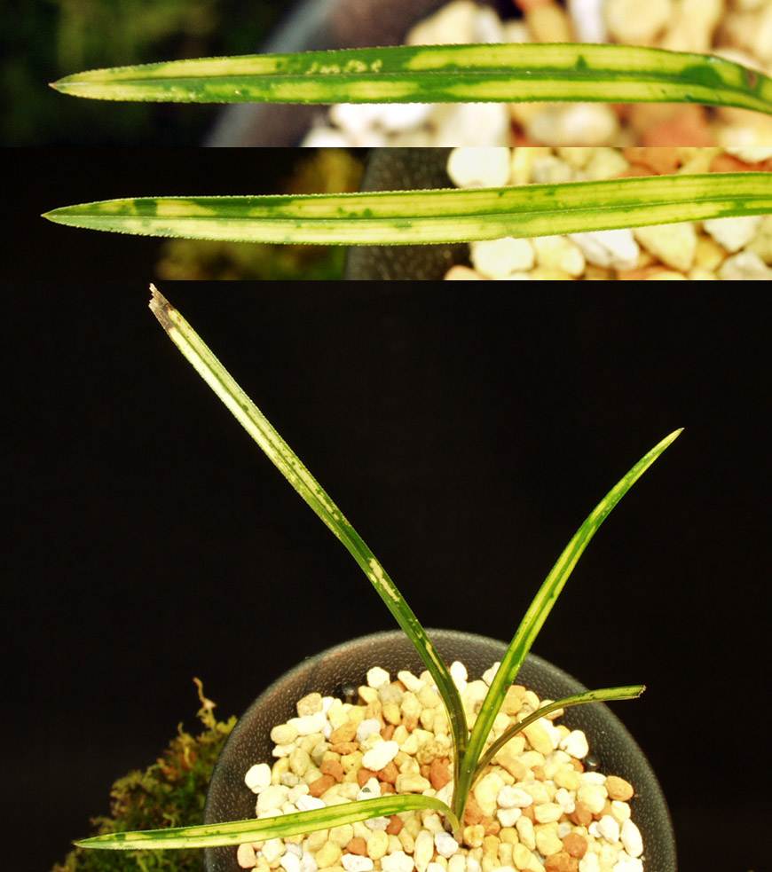 ������ ū������ �� �� �ֽ��ϴ�.