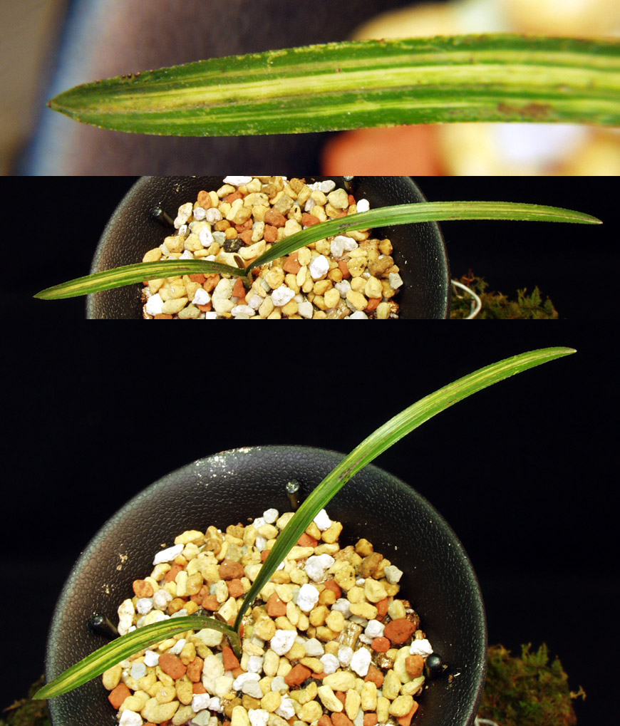 ������ ū������ �� �� �ֽ��ϴ�.