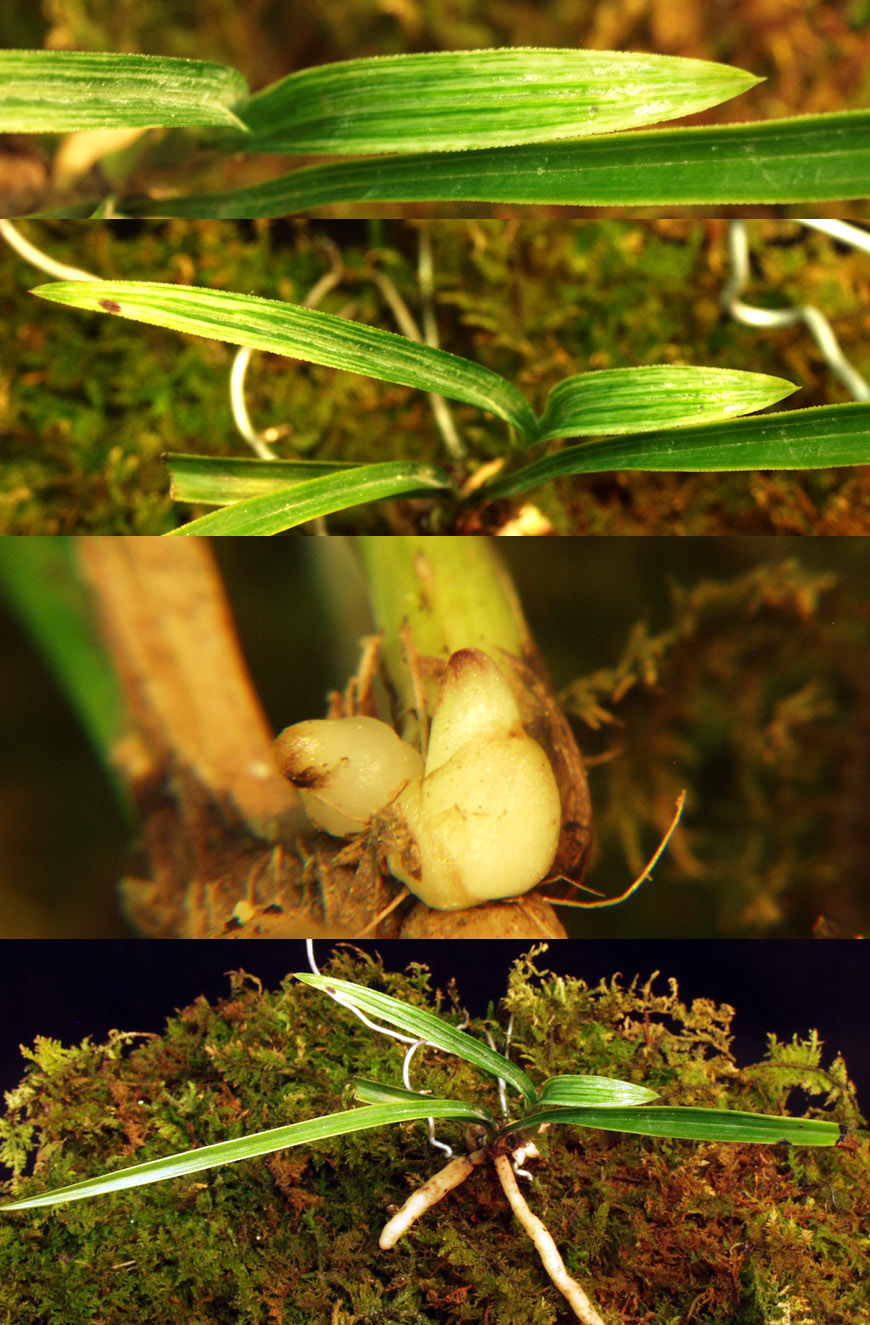 ������ ū������ �� �� �ֽ��ϴ�.