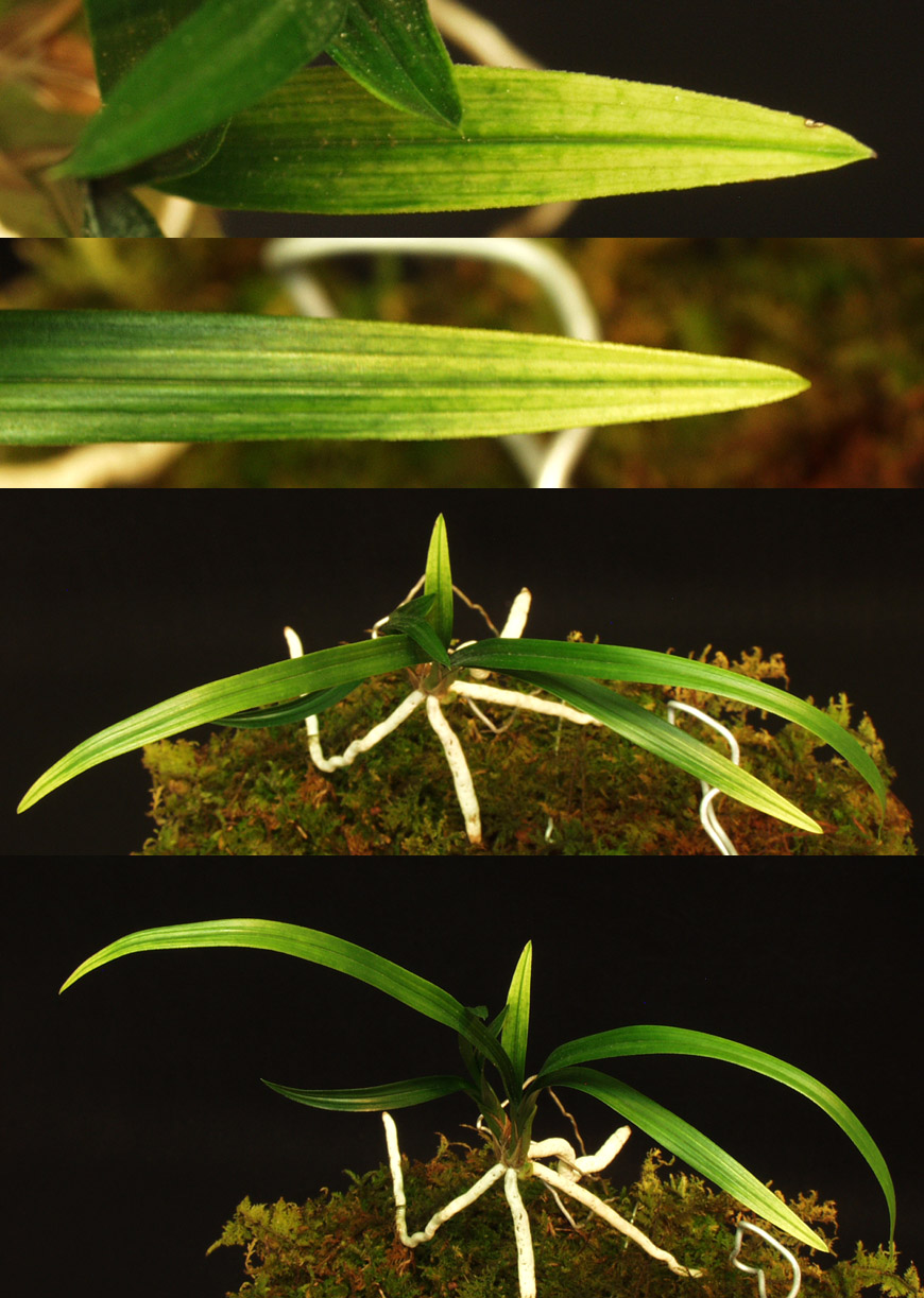 ������ ū������ �� �� �ֽ��ϴ�.