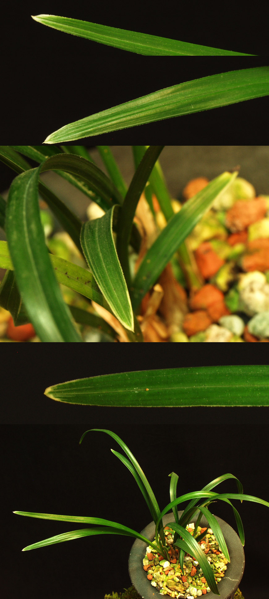 ������ ū������ �� �� �ֽ��ϴ�.