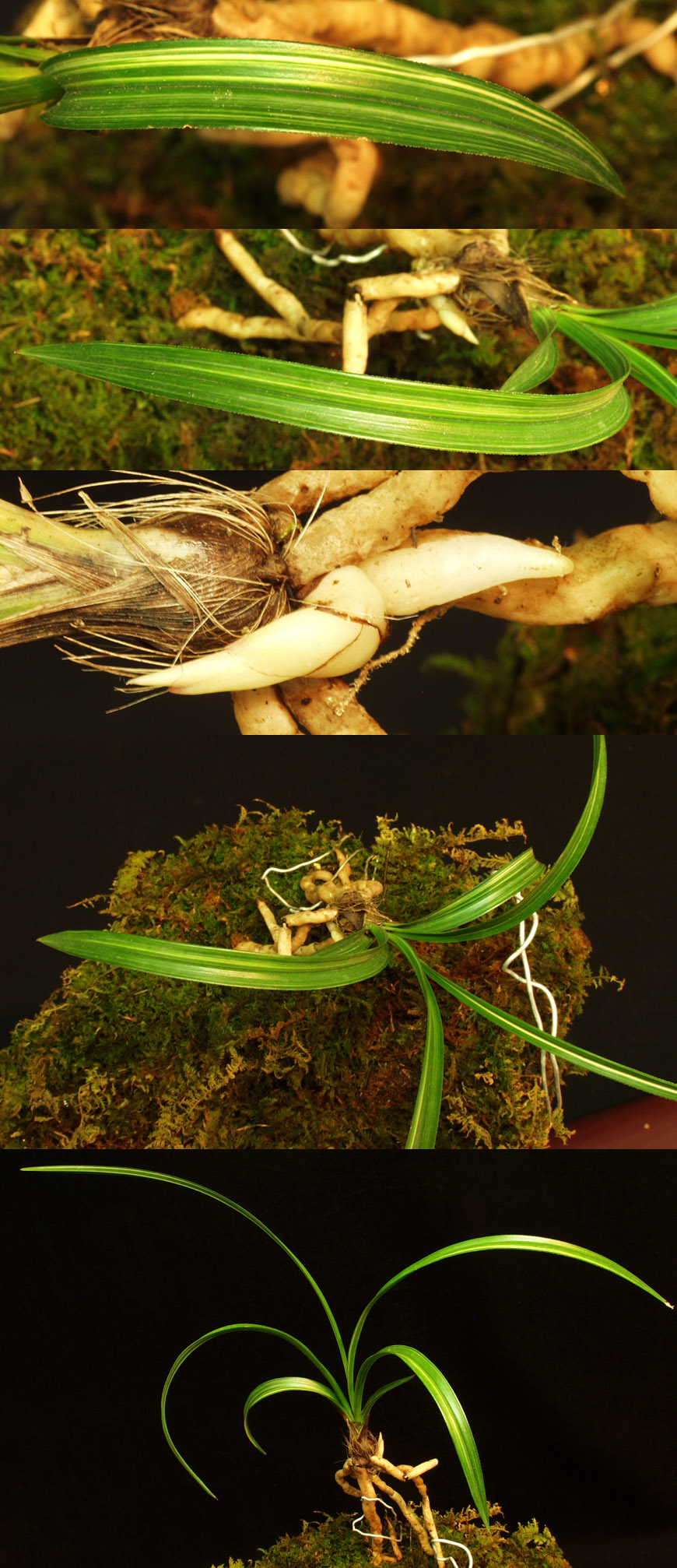 ������ ū������ �� �� �ֽ��ϴ�.