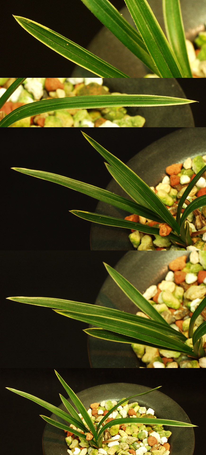 ������ ū������ �� �� �ֽ��ϴ�.