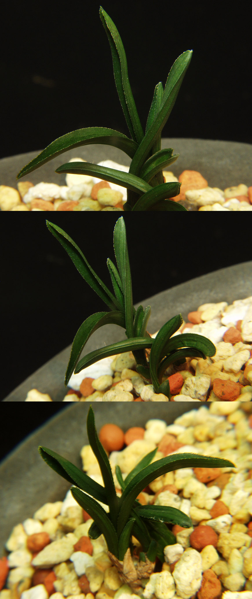 ������ ū������ �� �� �ֽ��ϴ�.