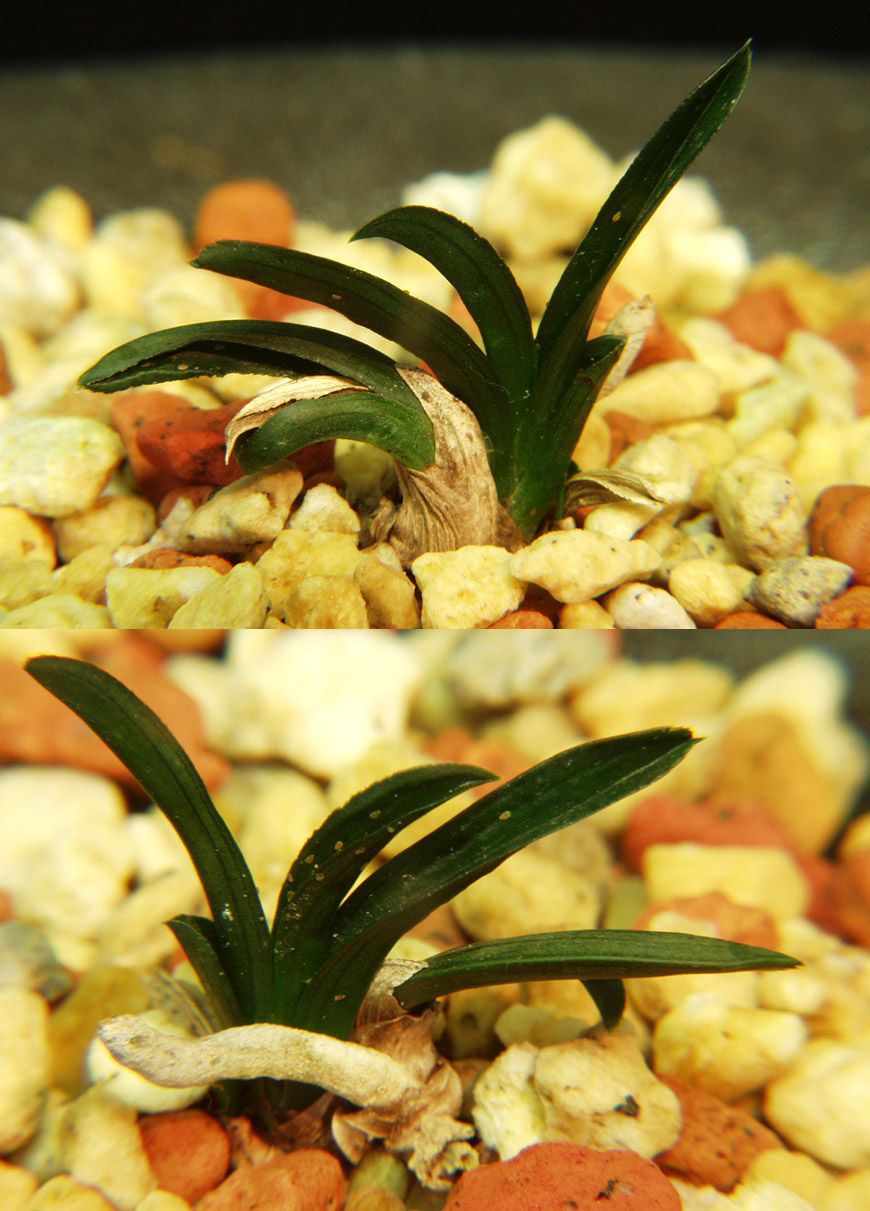 ������ ū������ �� �� �ֽ��ϴ�.