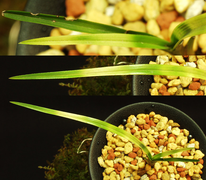 ������ ū������ �� �� �ֽ��ϴ�.