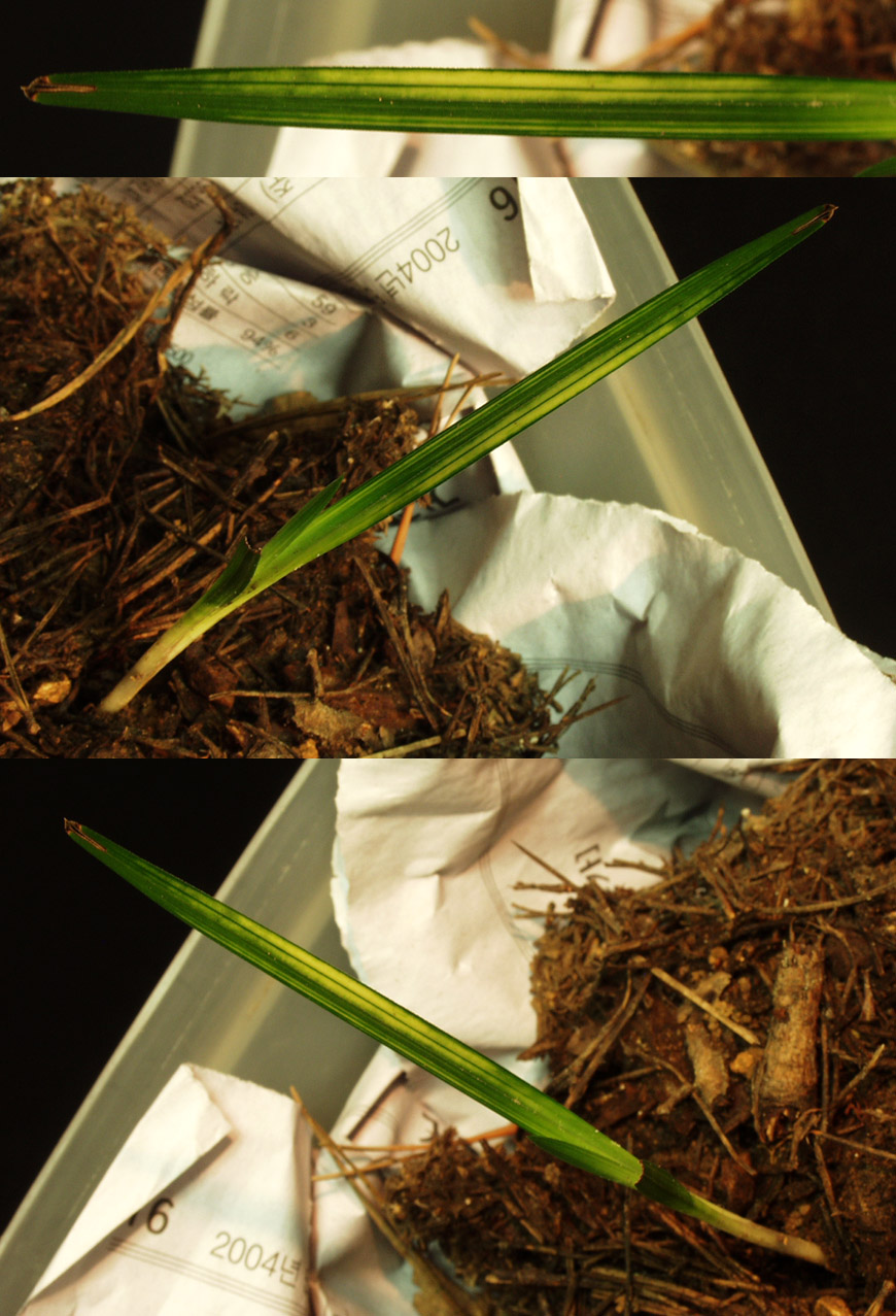 ������ ū������ �� �� �ֽ��ϴ�.