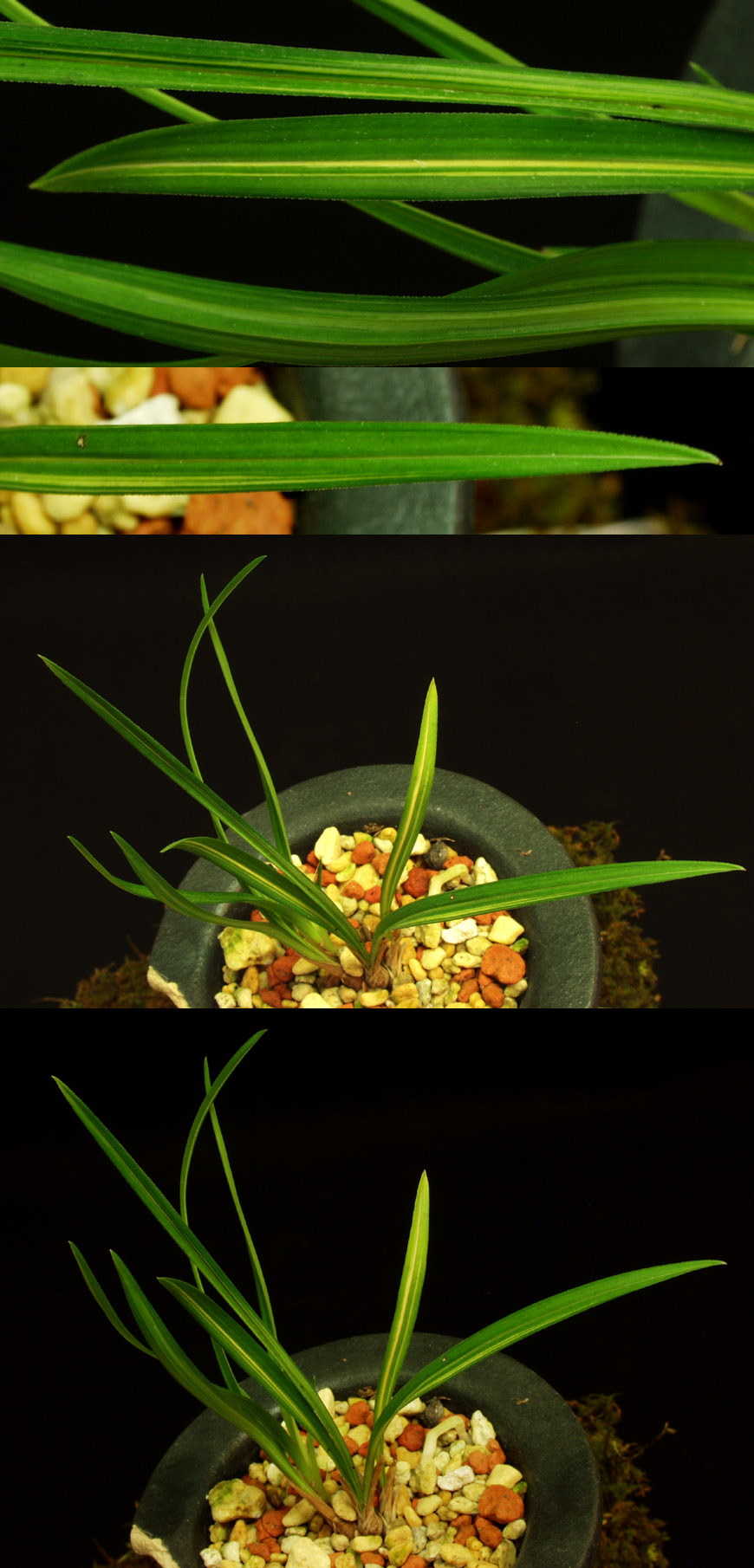 ������ ū������ �� �� �ֽ��ϴ�.