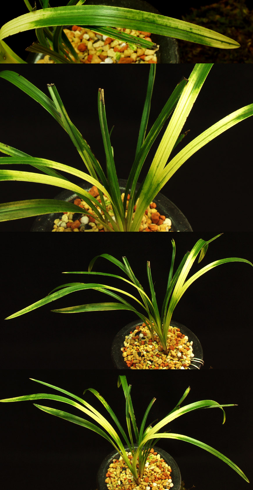 ������ ū������ �� �� �ֽ��ϴ�.