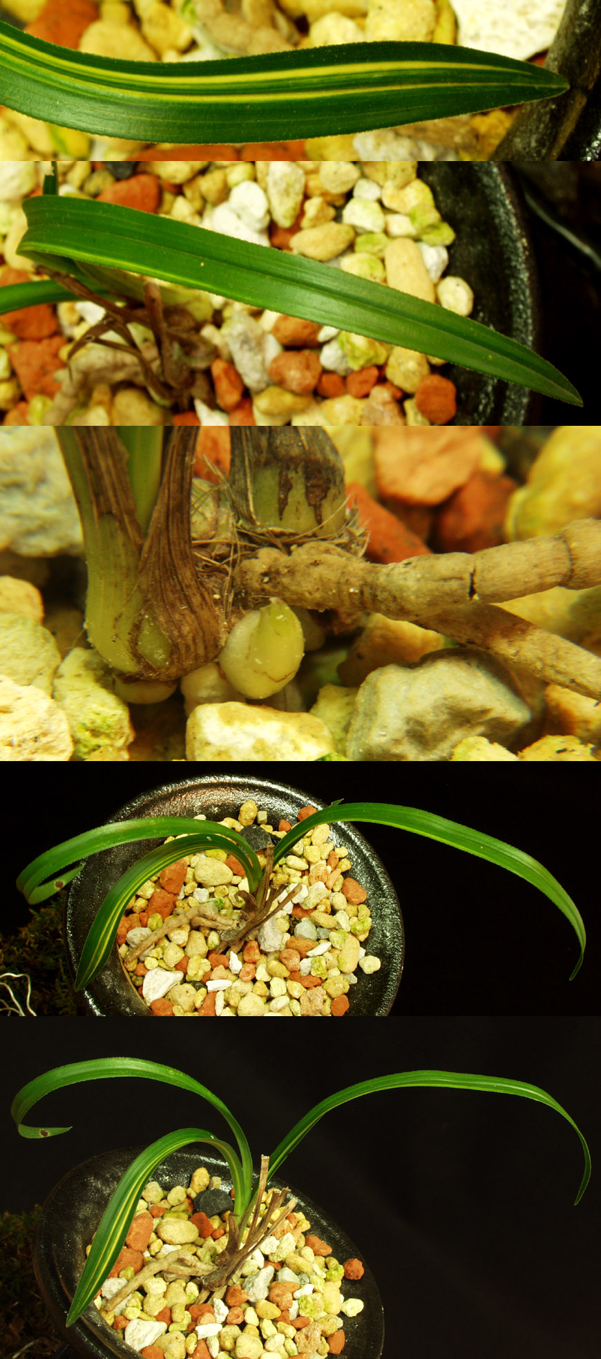 ������ ū������ �� �� �ֽ��ϴ�.