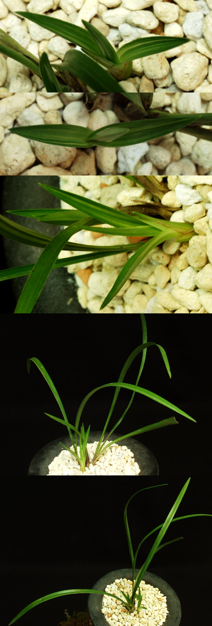 ������ ū������ �� �� �ֽ��ϴ�.