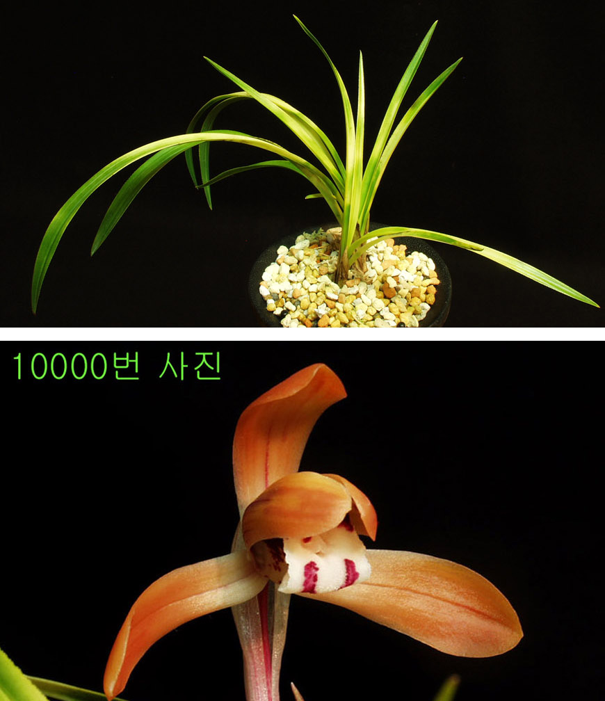 ������ ū������ �� �� �ֽ��ϴ�.