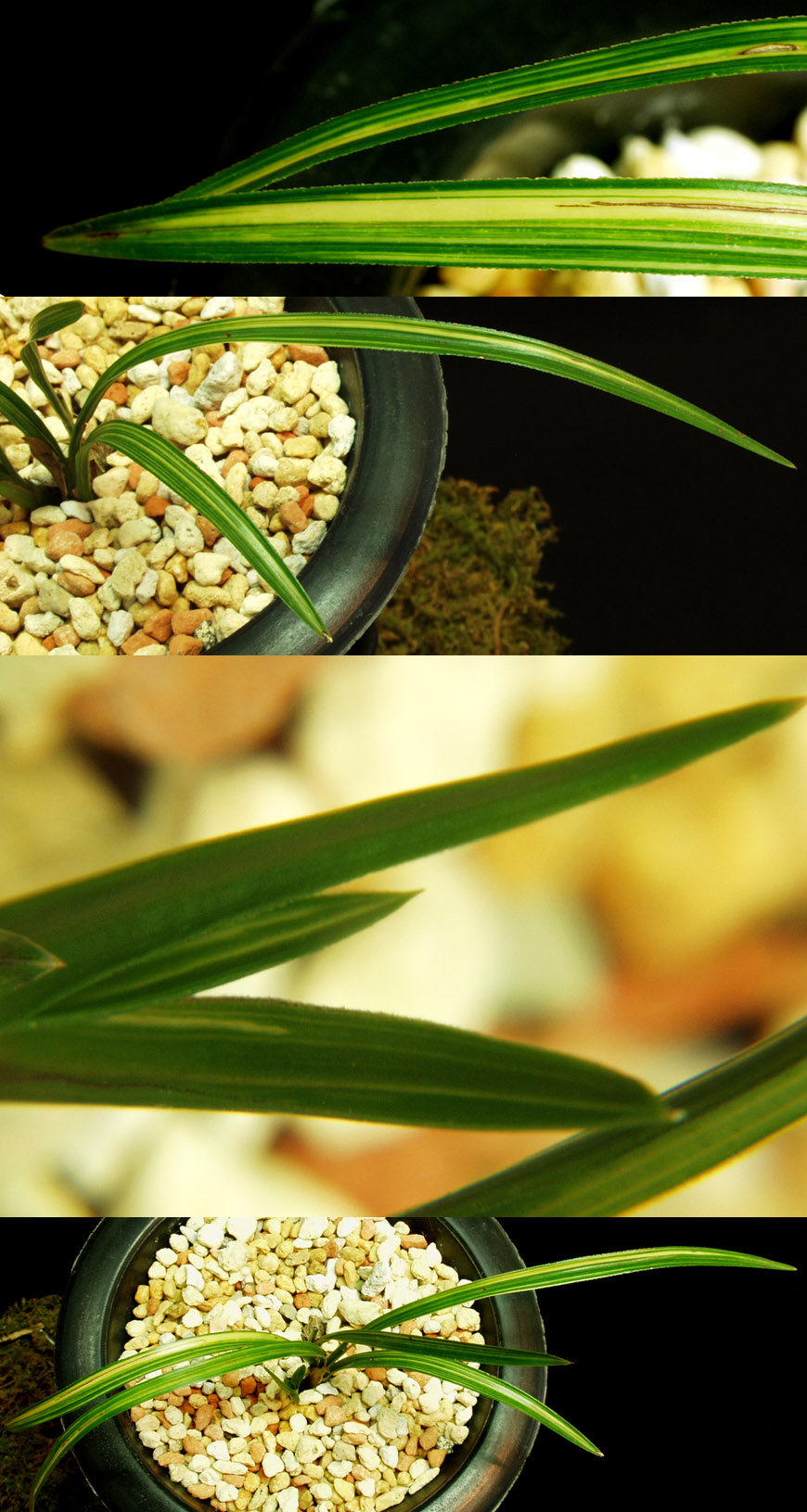 ������ ū������ �� �� �ֽ��ϴ�.