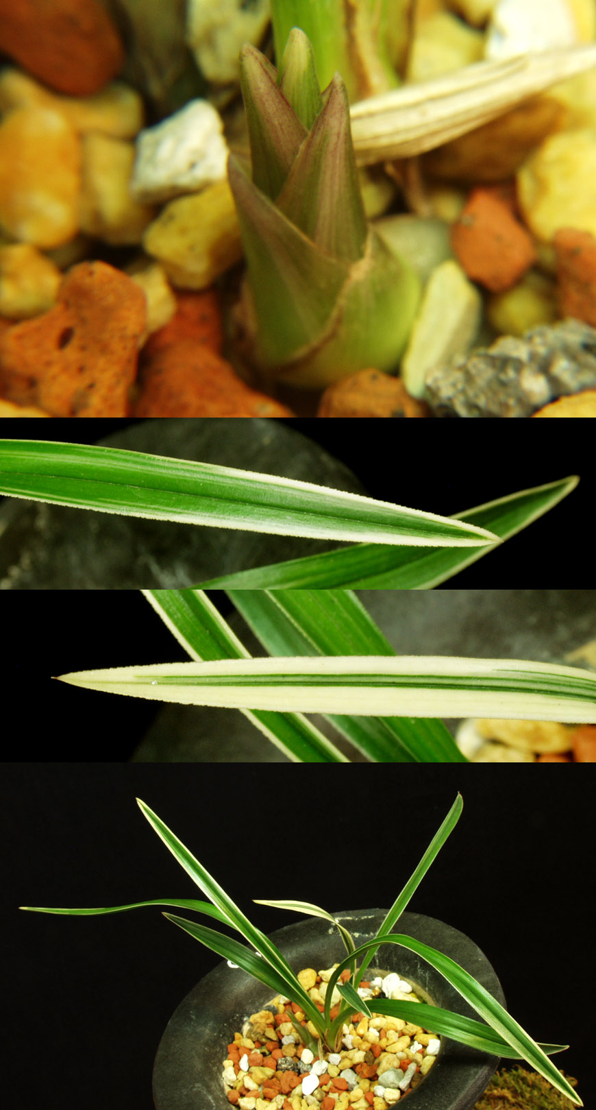 ������ ū������ �� �� �ֽ��ϴ�.