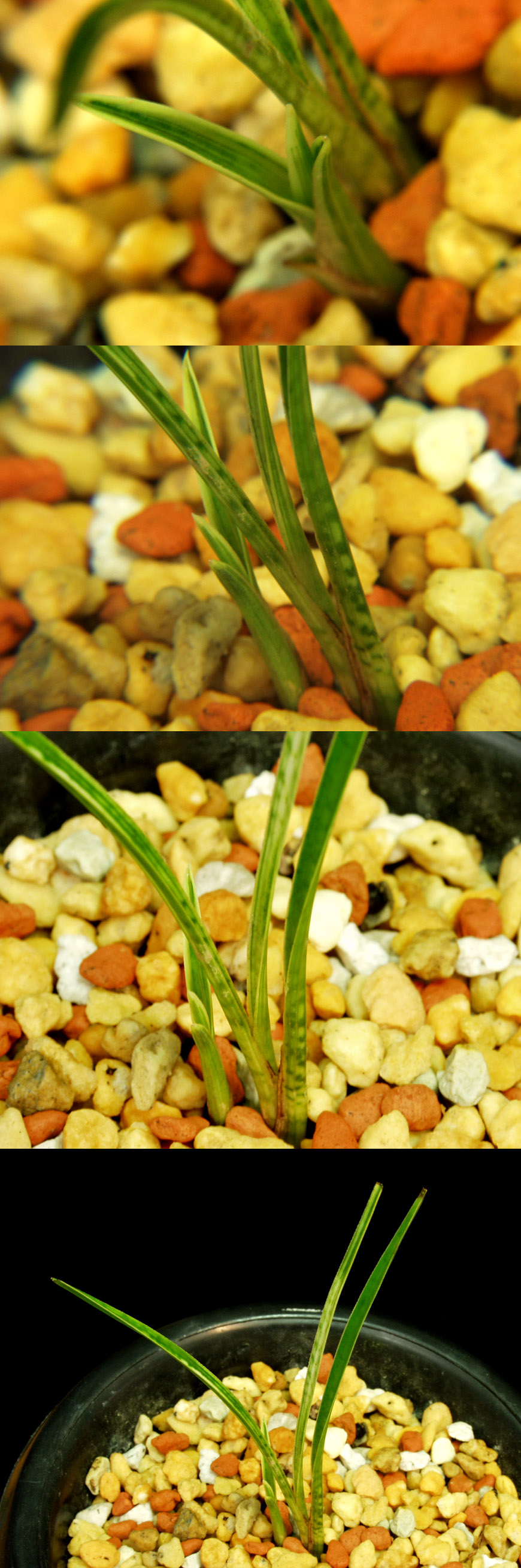 ������ ū������ �� �� �ֽ��ϴ�.