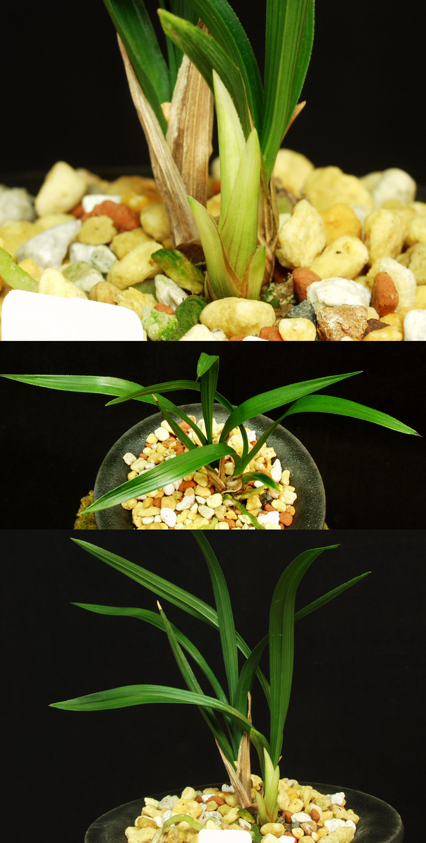 ������ ū������ �� �� �ֽ��ϴ�.