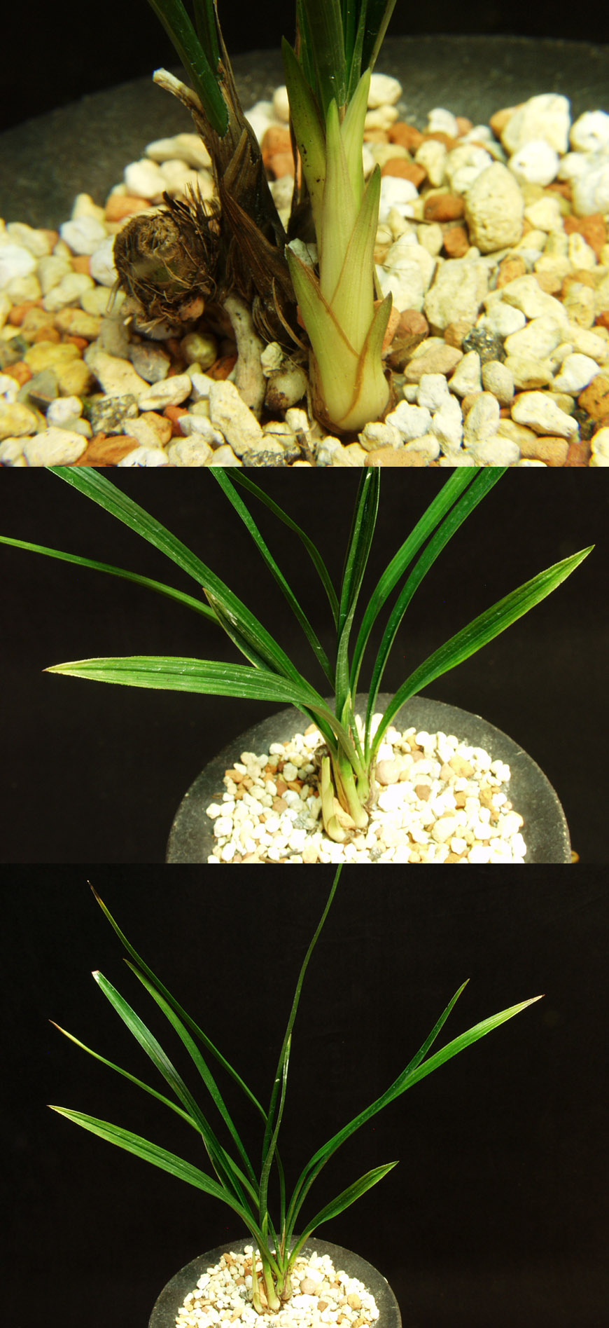 ������ ū������ �� �� �ֽ��ϴ�.