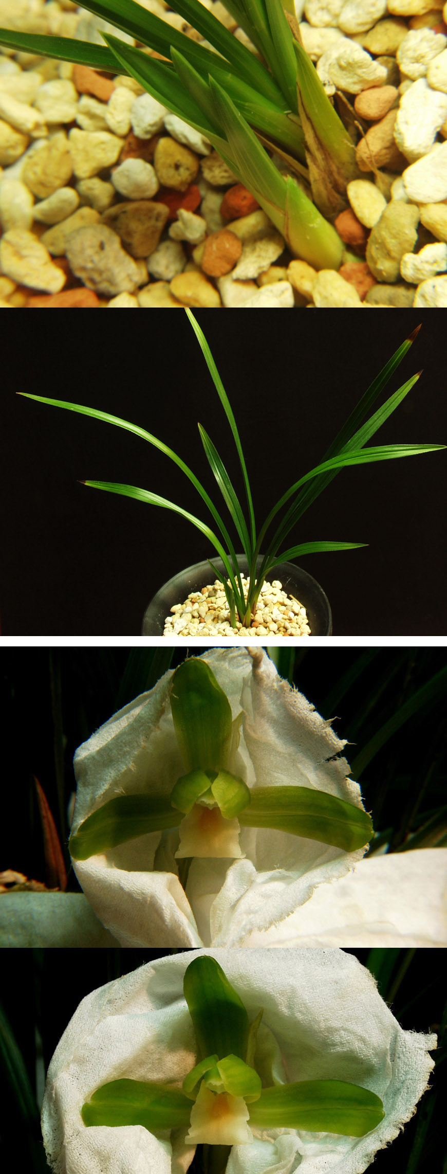 ������ ū������ �� �� �ֽ��ϴ�.