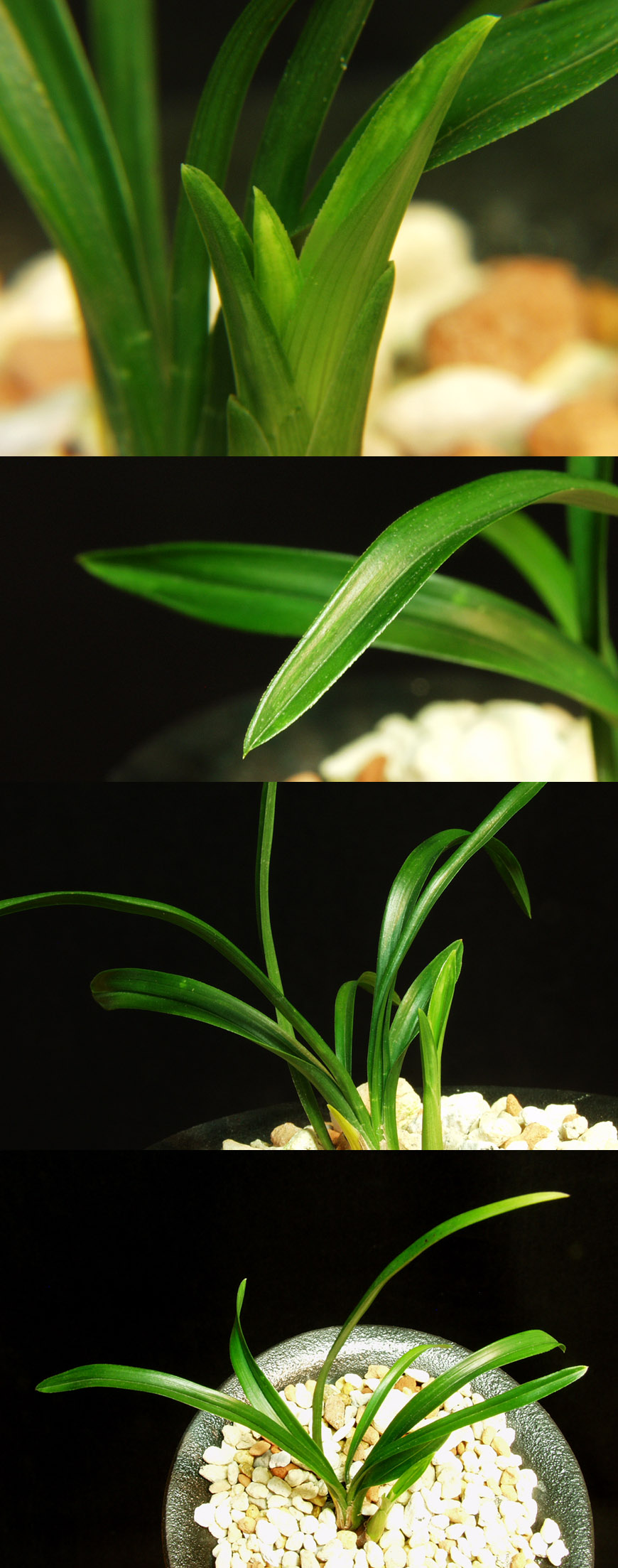 ������ ū������ �� �� �ֽ��ϴ�.