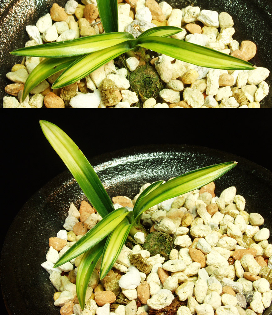 ������ ū������ �� �� �ֽ��ϴ�.