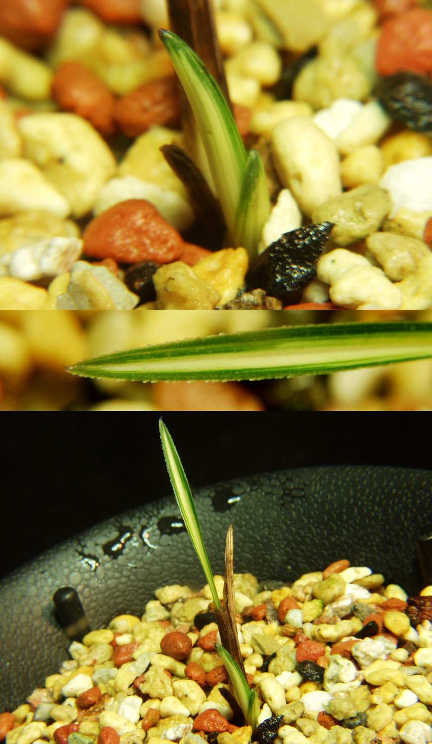 ������ ū������ �� �� �ֽ��ϴ�.