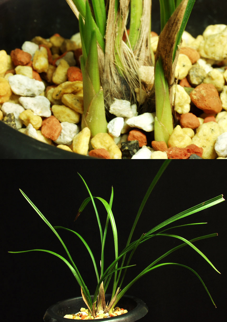 ������ ū������ �� �� �ֽ��ϴ�.