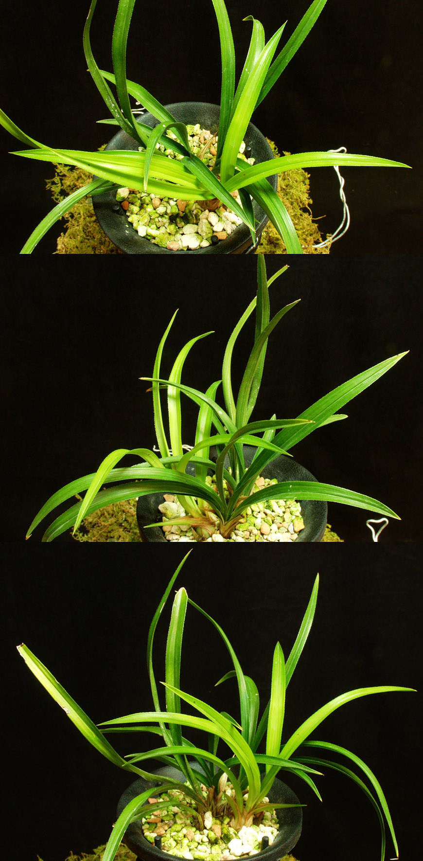 ������ ū������ �� �� �ֽ��ϴ�.