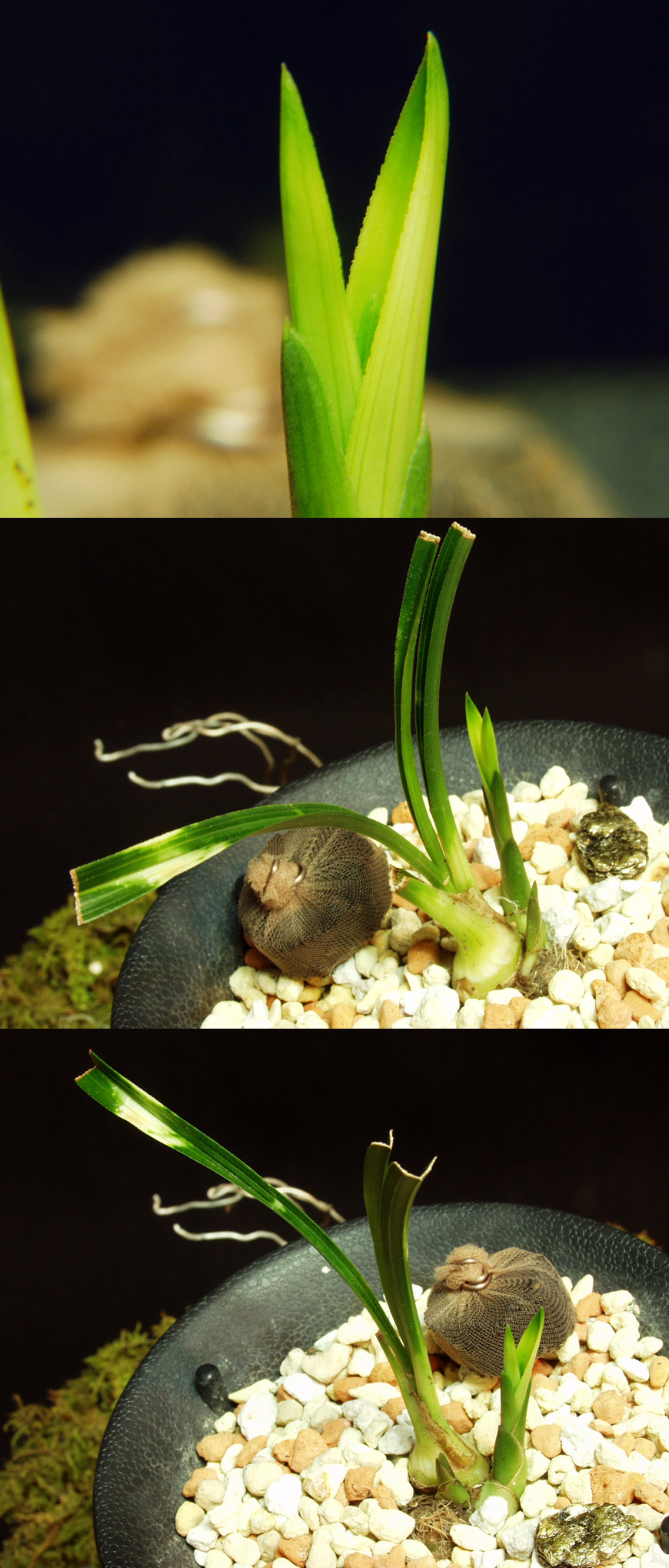 ������ ū������ �� �� �ֽ��ϴ�.