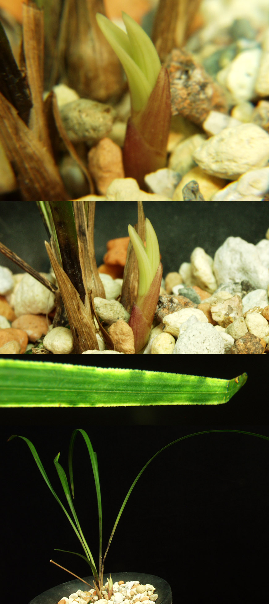 ������ ū������ �� �� �ֽ��ϴ�.