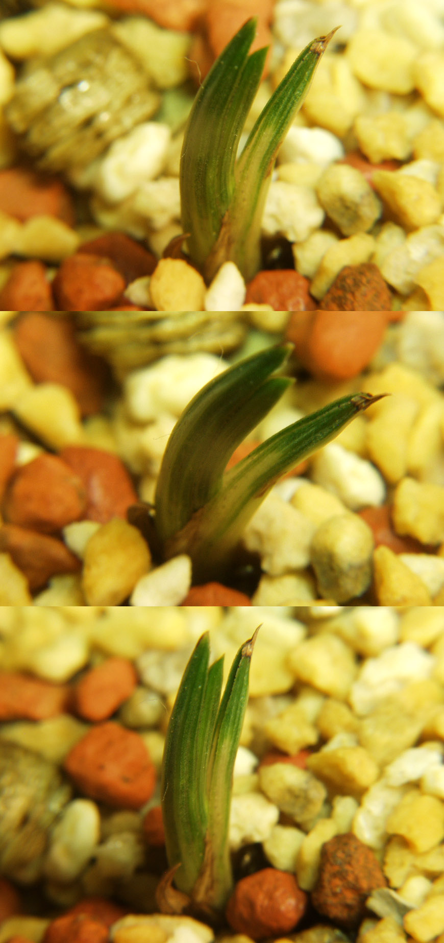 ������ ū������ �� �� �ֽ��ϴ�.