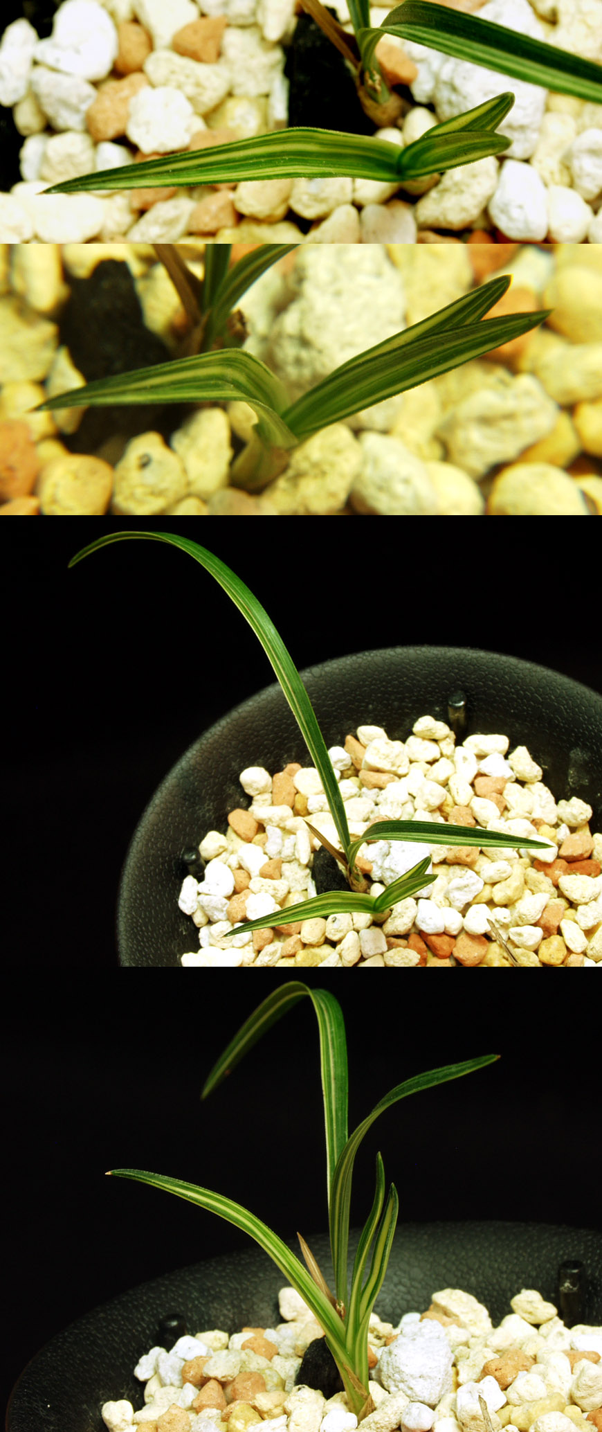 ������ ū������ �� �� �ֽ��ϴ�.