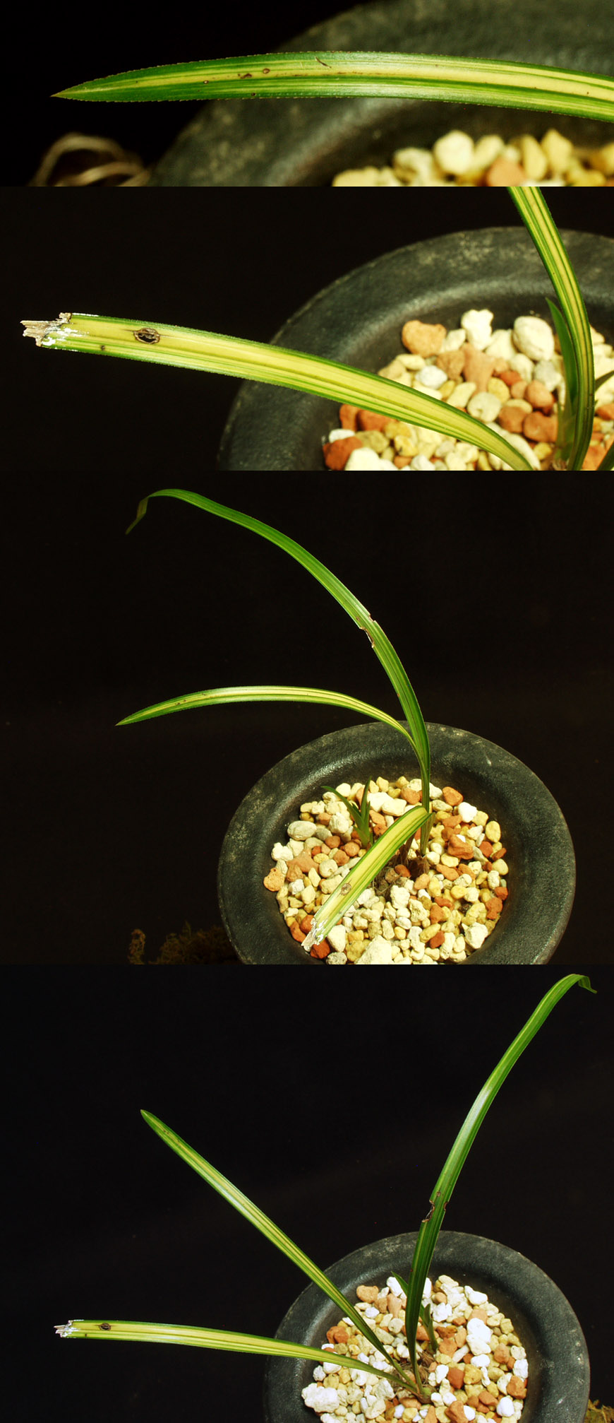 ������ ū������ �� �� �ֽ��ϴ�.